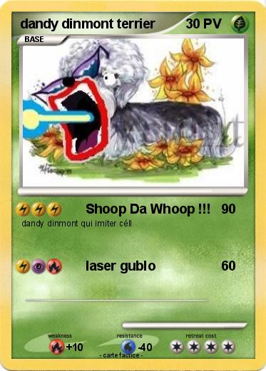Pokemon dandy dinmont terrier