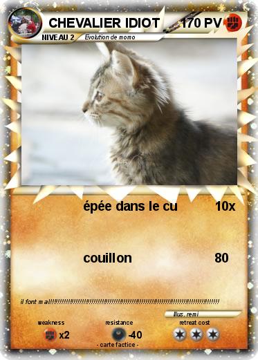 Pokemon CHEVALIER IDIOT