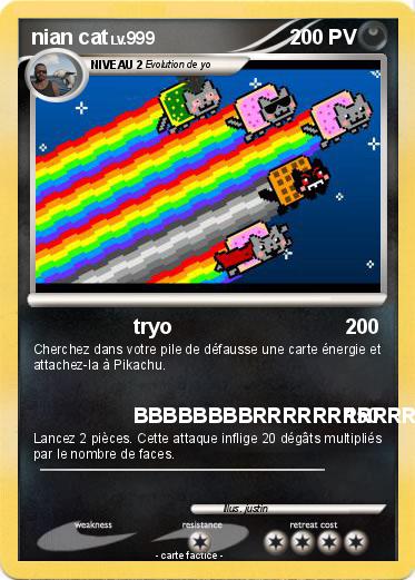 Pokemon nian cat