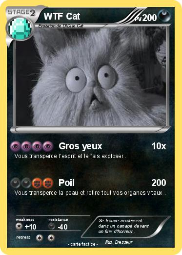 Pokemon WTF Cat