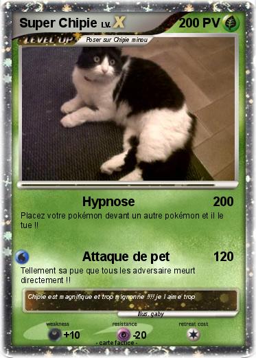 Pokemon Super Chipie
