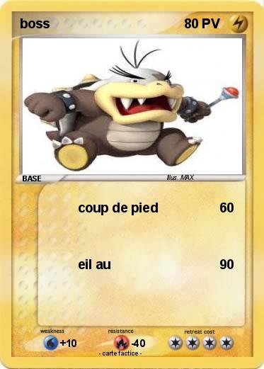 Pokemon boss