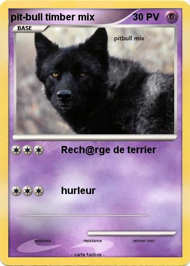 Pokemon pit-bull timber mix