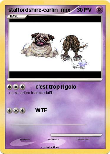 Pokemon staffordshire-carlin  mix