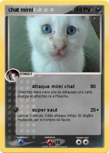 Pokemon chat mimi