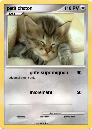 Pokemon petit chaton