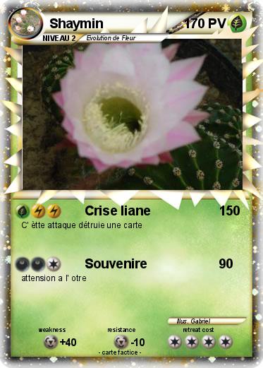 Pokemon Shaymin