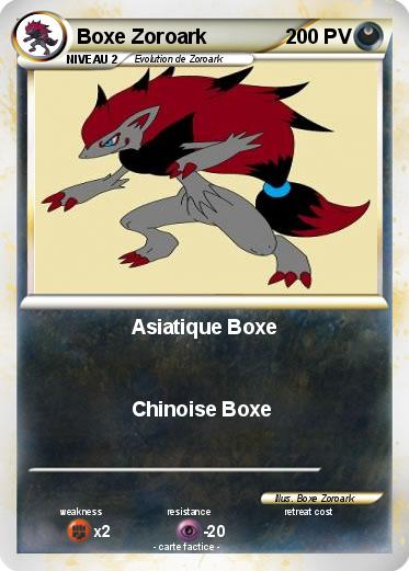 Pokemon Boxe Zoroark