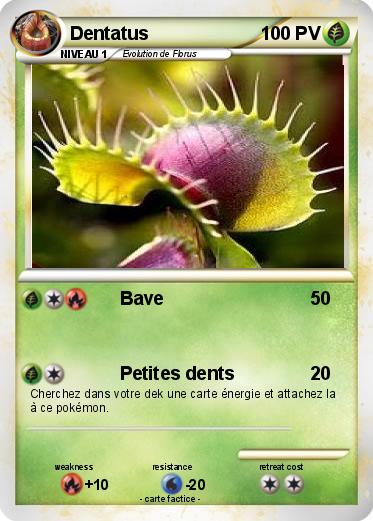Pokemon Dentatus