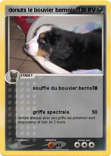 Pokemon donuts le bouvier bernois