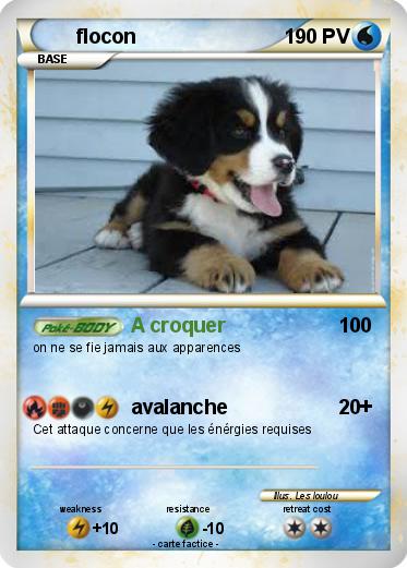 Pokemon flocon