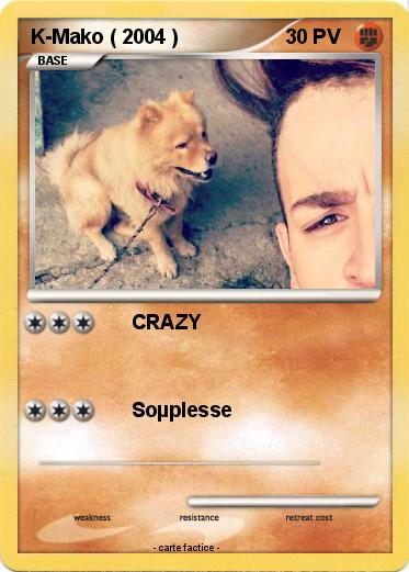 Pokemon K-Mako ( 2004 )