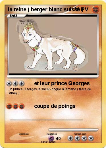 Pokemon la reine ( berger blanc suisse )