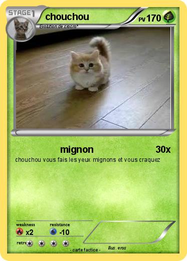 Pokemon chouchou
