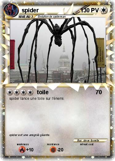 Pokemon spider
