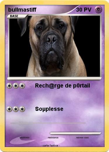 Pokemon bullmastiff
