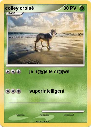 Pokemon colley croisé