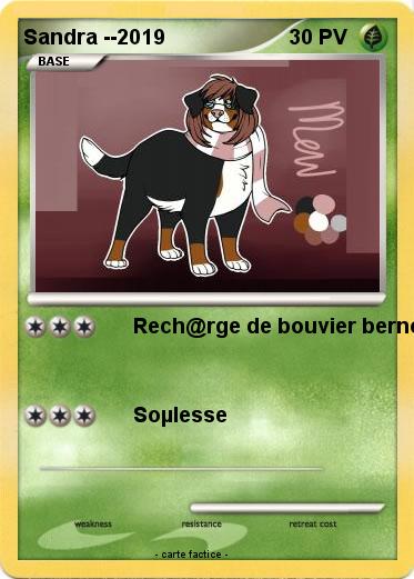 Pokemon Sandra --2019