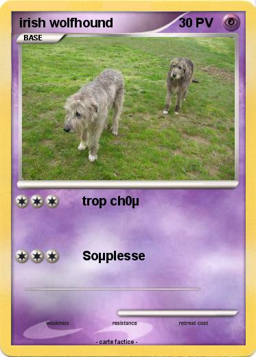 Pokemon irish wolfhound