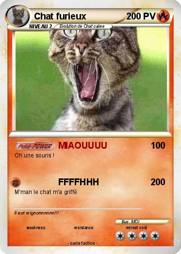 Pokemon Chat furieux
