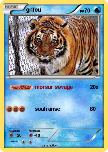 Pokemon grifou