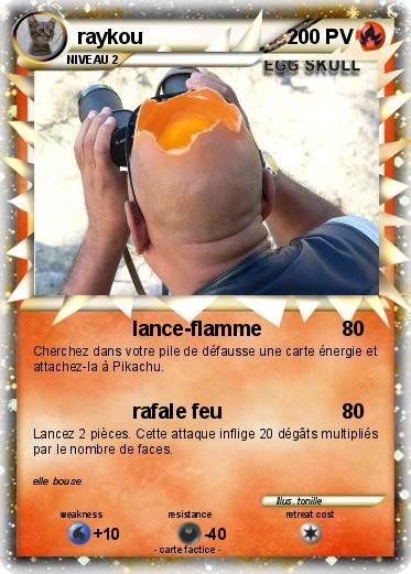 Pokemon raykou