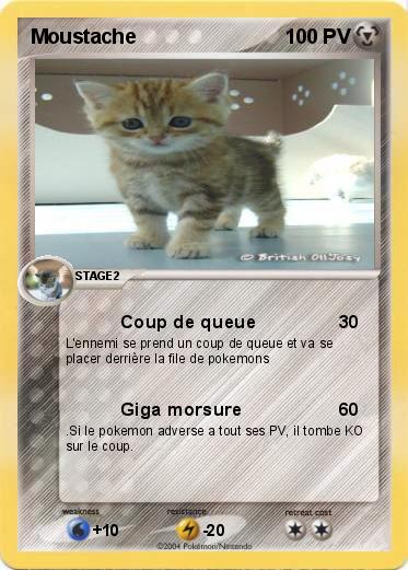 Pokemon Moustache