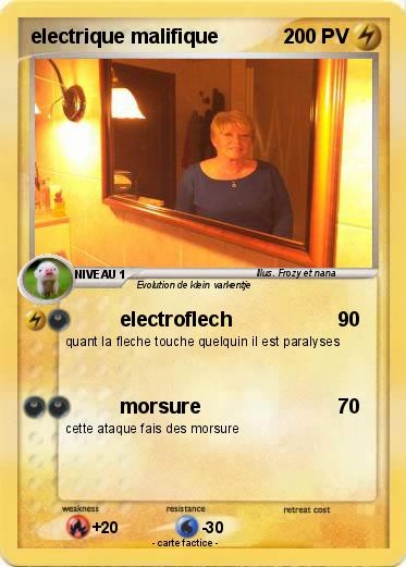 Pokemon electrique malifique