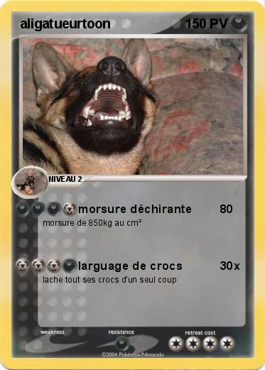 Pokemon aligatueurtoon