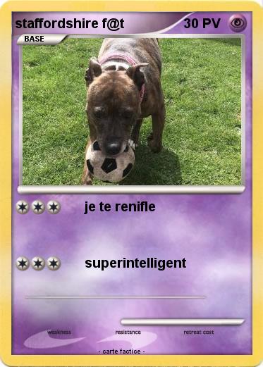 Pokemon staffordshire f@t