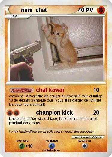 Pokemon mini  chat