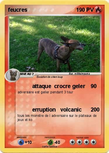 Pokemon feucres