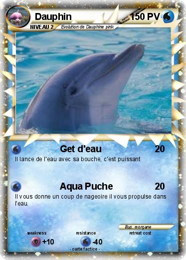 Pokemon Dauphin