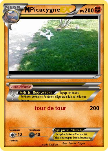 Pokemon Picacygne