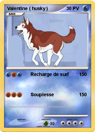 Pokemon Valentine ( husky )