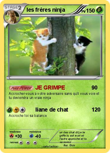 Pokemon les frères ninja