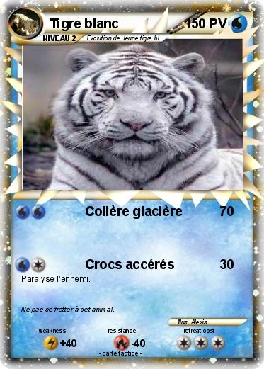 Pokemon Tigre blanc