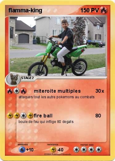 Pokemon flamma-king