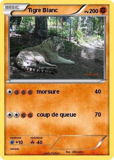 Pokemon Tigre Blanc