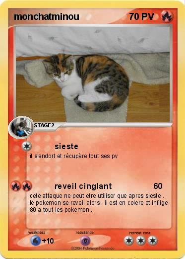 Pokemon monchatminou