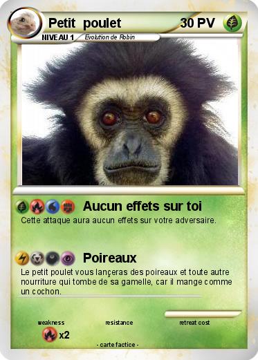 Pokemon Petit  poulet