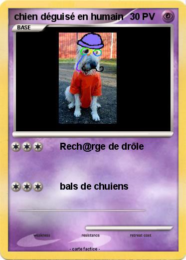 Pokemon chien déguisé en humain