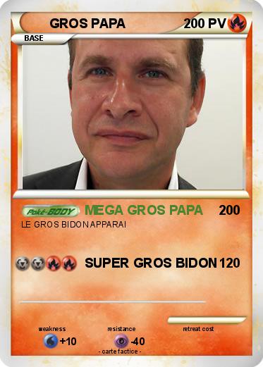 Pokemon GROS PAPA