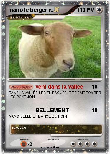 Pokemon mano le berger