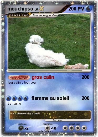 Pokemon mouchipso