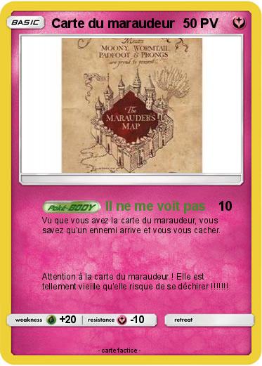 Pokemon Carte du maraudeur