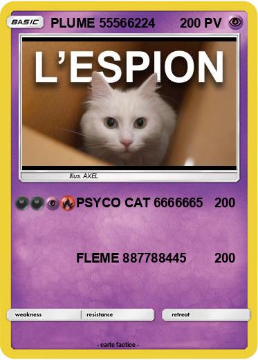 Pokemon PLUME 55566224