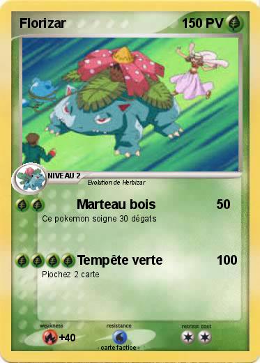 Pokemon Florizar