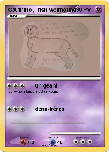 Pokemon Gauthino , irish wolfhound