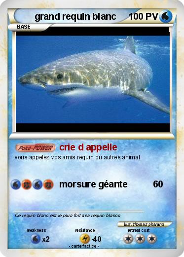 Pokemon grand requin blanc